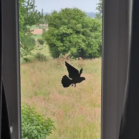 La Hamonniere Bed & Breakfast Savigny-le-Vieux