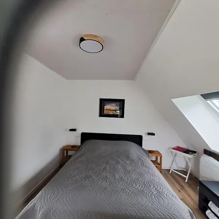 Bed & Breakfast La Hamonniere Savigny-le-Vieux