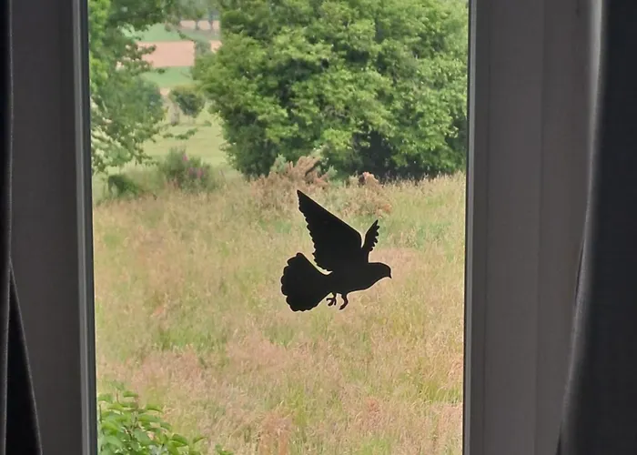 La Hamonniere Oda ve Kahvaltı Savigny-le-Vieux