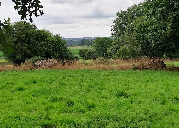 Bed & Breakfast La Hamonniere